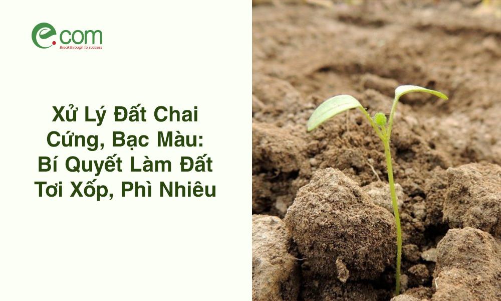 Cải tạo đất bạc màu bằng cách bổ sung chất hữu cơ là giải pháp nền tảng